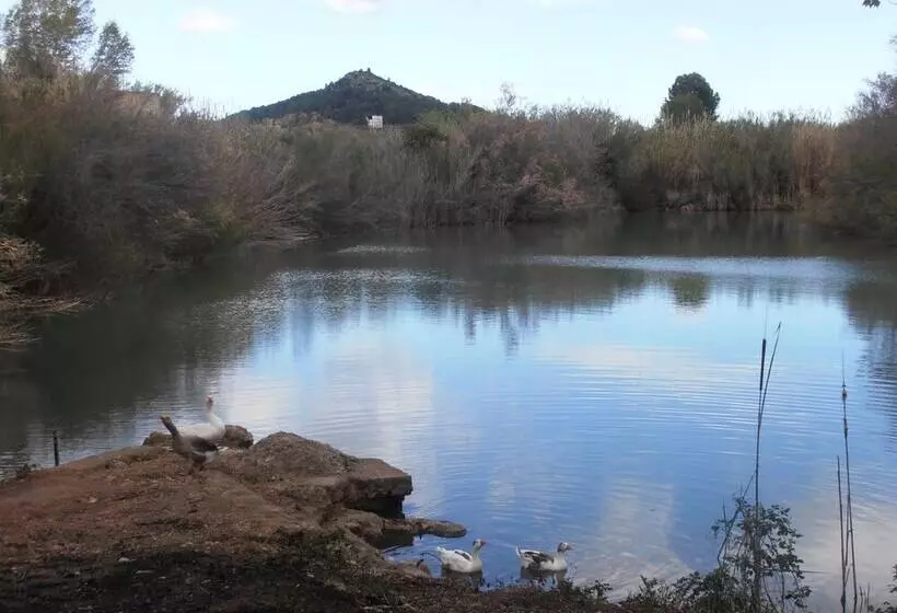 Oasis Country Park   Campground