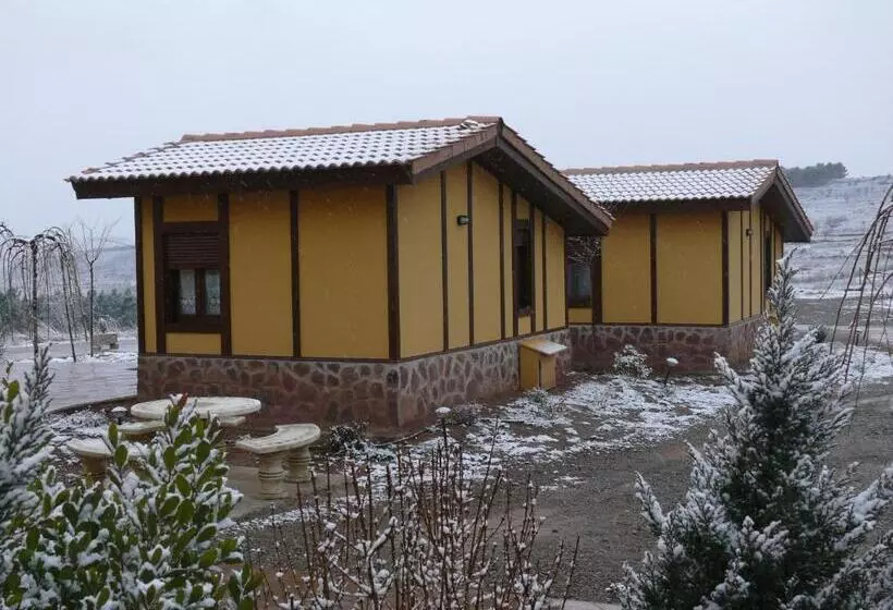 فندق فئة نجمة واحدة Masia Del Cura