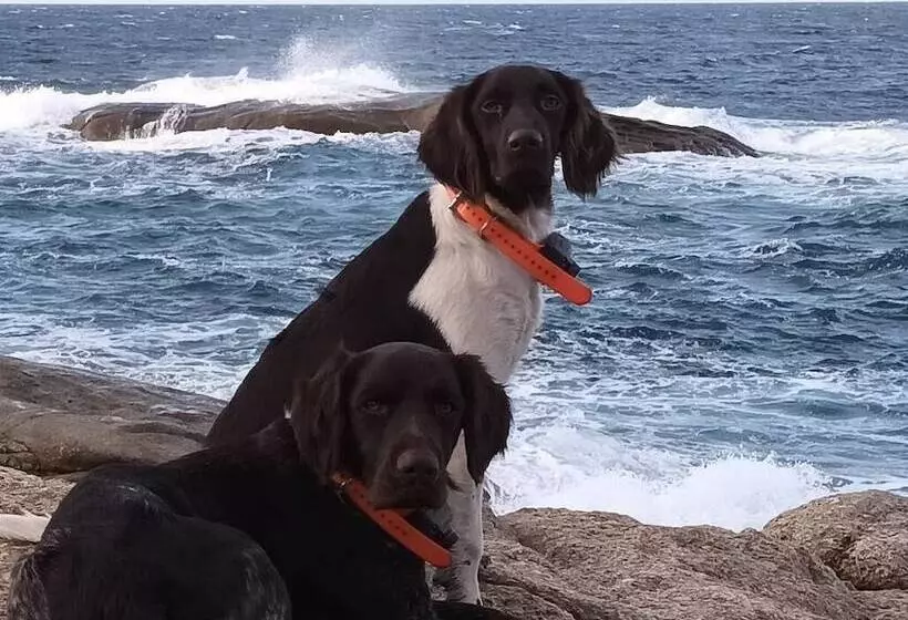 בית מלון כפרי Azur