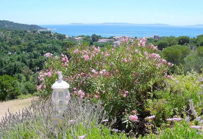 בית מלון כפרי Azur