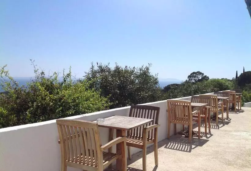 בית מלון כפרי Azur