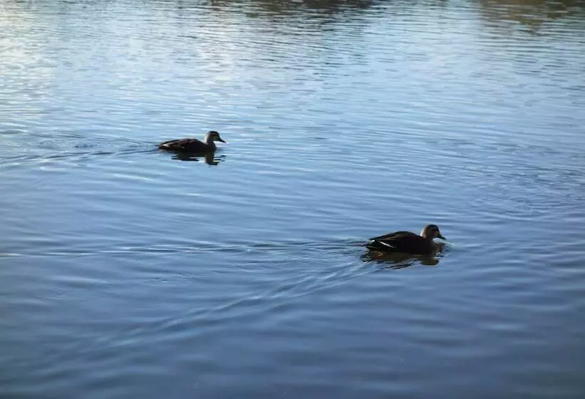 Отель Izu Ippeki Lake Lakeside Terrace