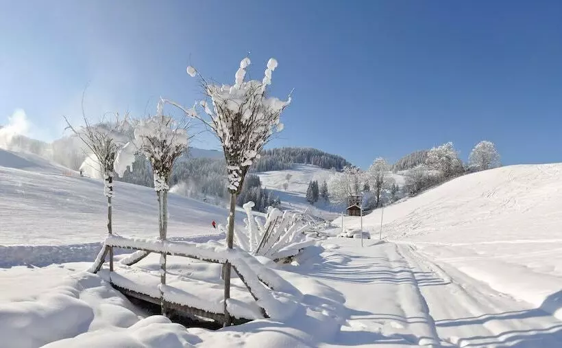 Alpenparks Hotel & Apartment Taxacher