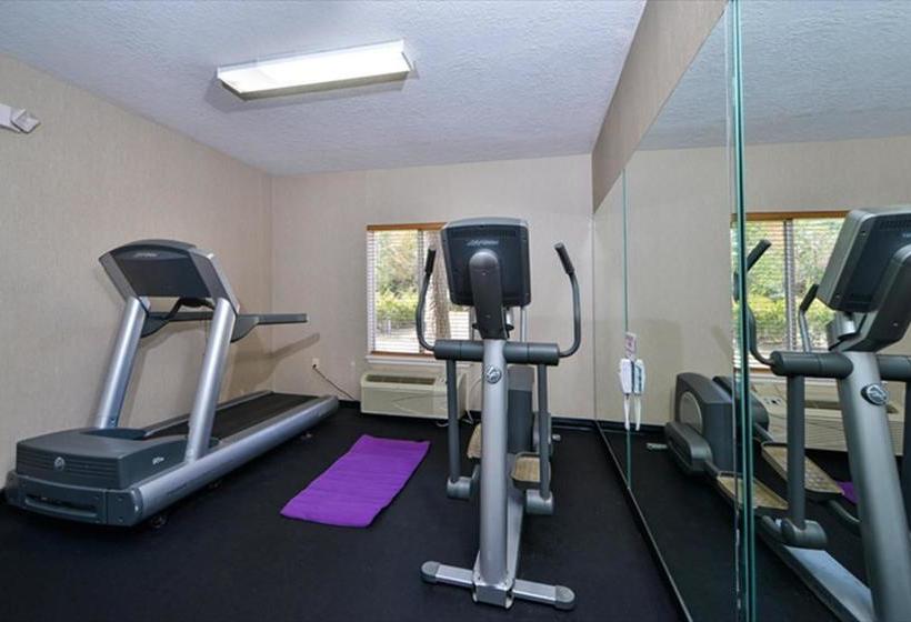 Holiday Inn Express Hotel And Suites Houston Kingwood