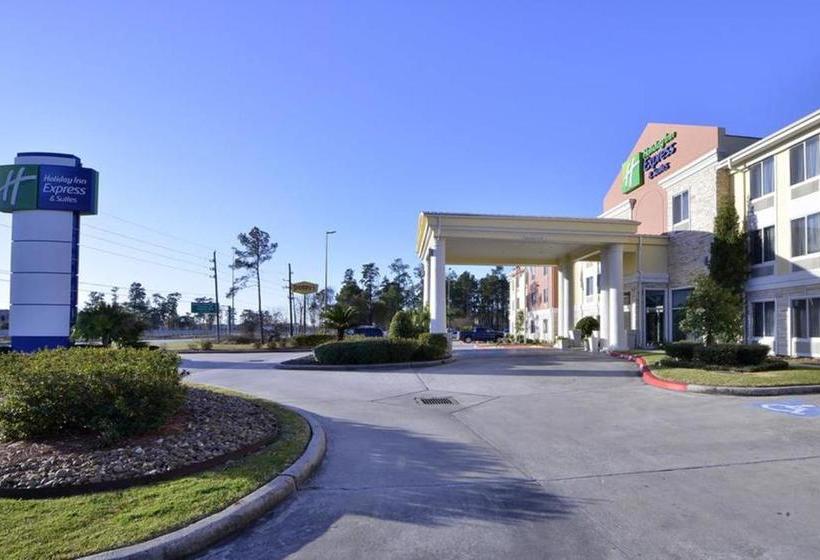Holiday Inn Express Hotel And Suites Houston Kingwood