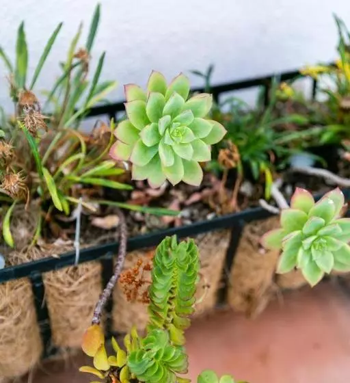 فندق Anaheim Discovery Inn And Suites