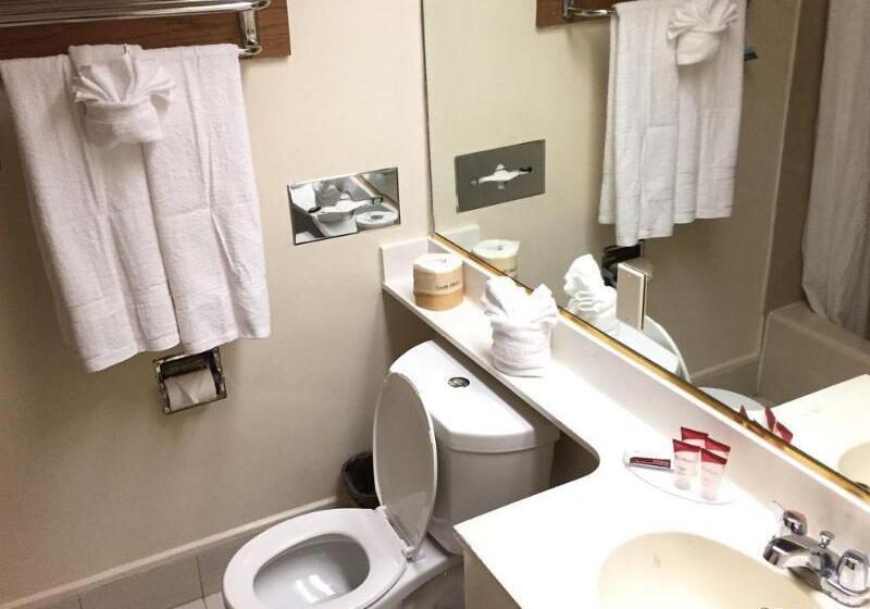 호텔 Anaheim Discovery Inn And Suites