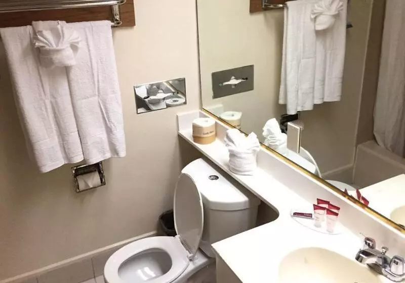 فندق Anaheim Discovery Inn And Suites