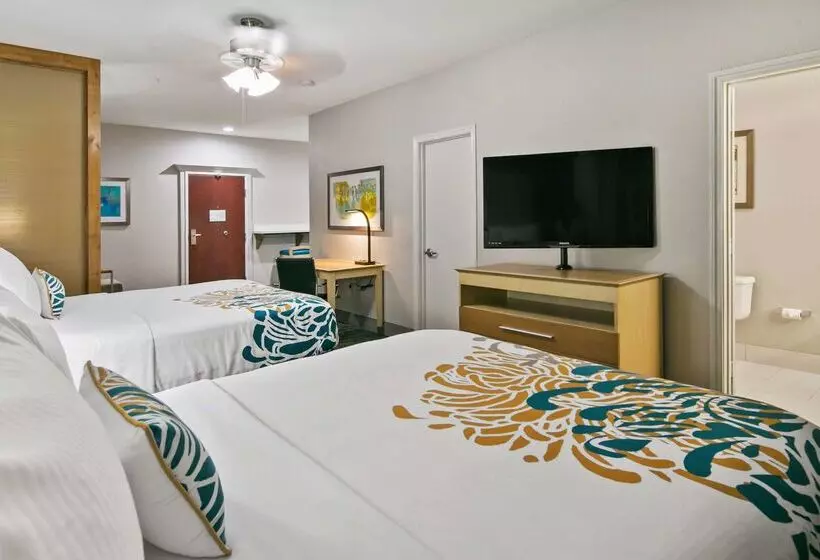Szálloda Best Western Plus Houston Atascocita Inn & Suites