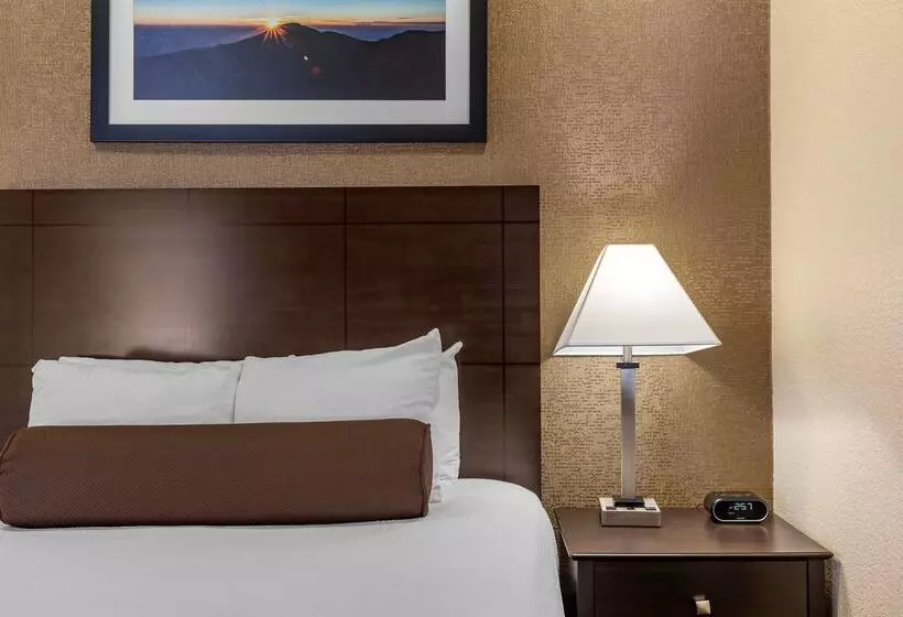 ホテル Best Western Plus Las Vegas West