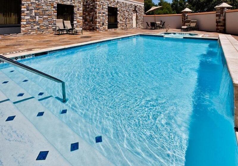 Holiday Inn Express Hotel & Suites Dallas South   Desoto, An Ihg