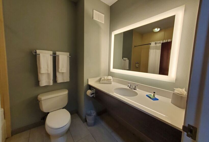 هتل Holiday Inn Express Pearland, An Ihg