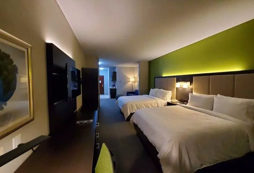 Otel Holiday Inn Express Pearland, An Ihg