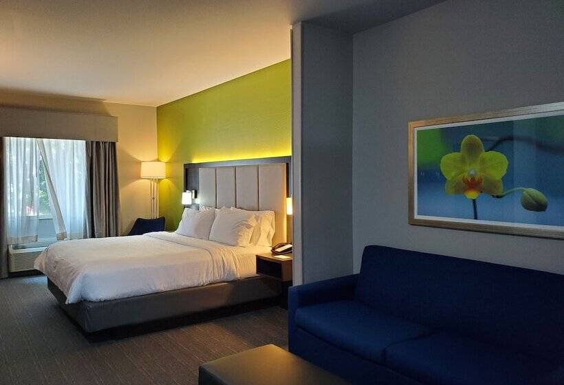 هتل Holiday Inn Express Pearland, An Ihg