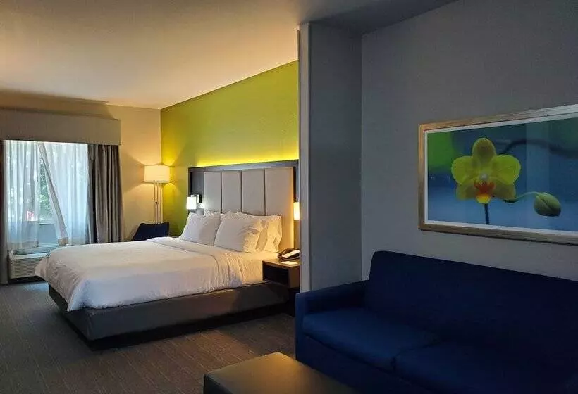 Otel Holiday Inn Express Pearland, An Ihg