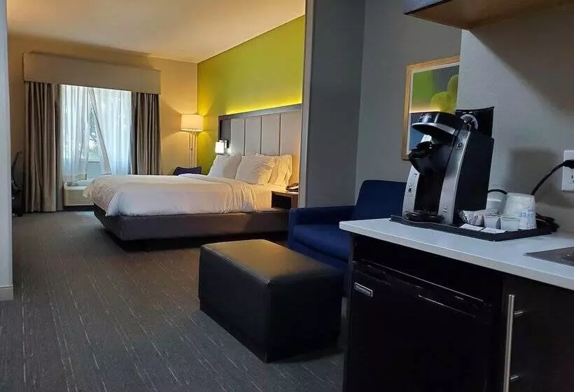 Otel Holiday Inn Express Pearland, An Ihg