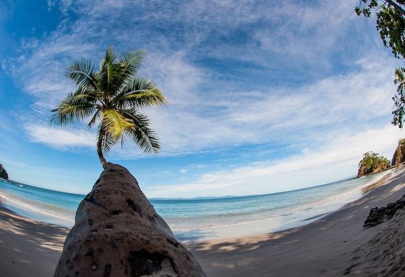 فندق Punta Leona