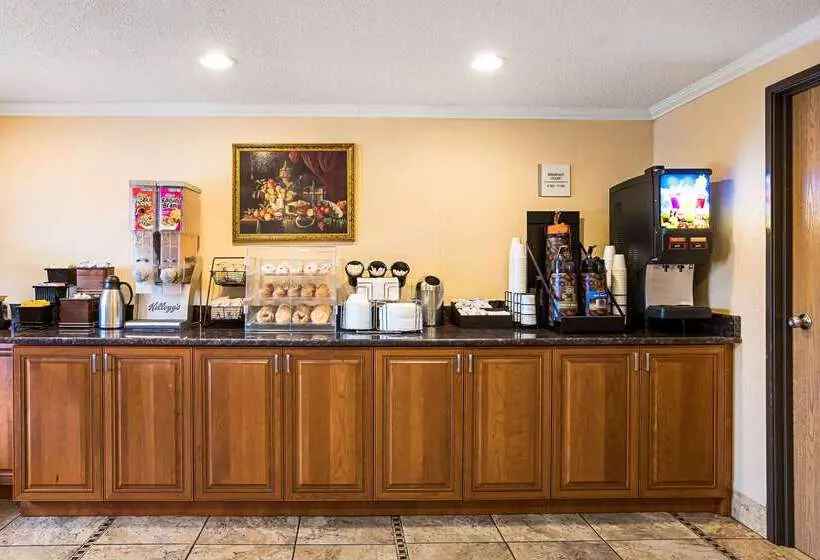 酒店 Rodeway Inn Metro Airport