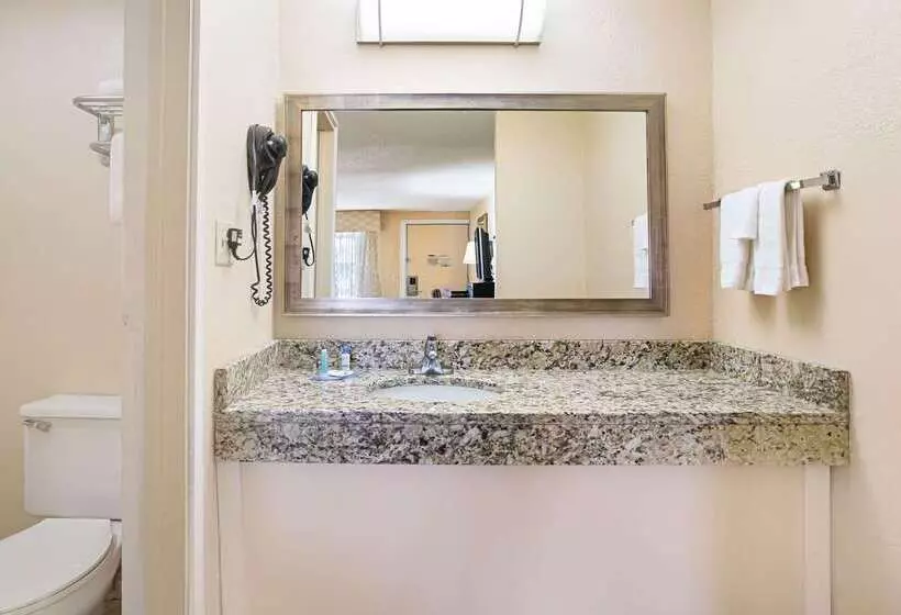 酒店 Rodeway Inn Metro Airport