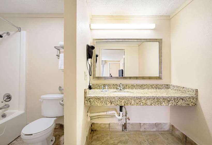 ホテル Rodeway Inn Metro Airport