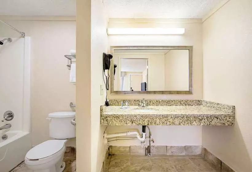 酒店 Rodeway Inn Metro Airport