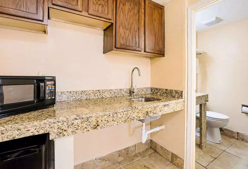 酒店 Rodeway Inn Metro Airport