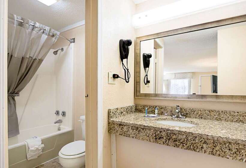 ホテル Rodeway Inn Metro Airport