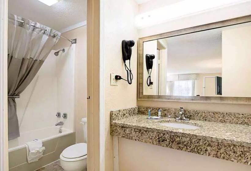 酒店 Rodeway Inn Metro Airport