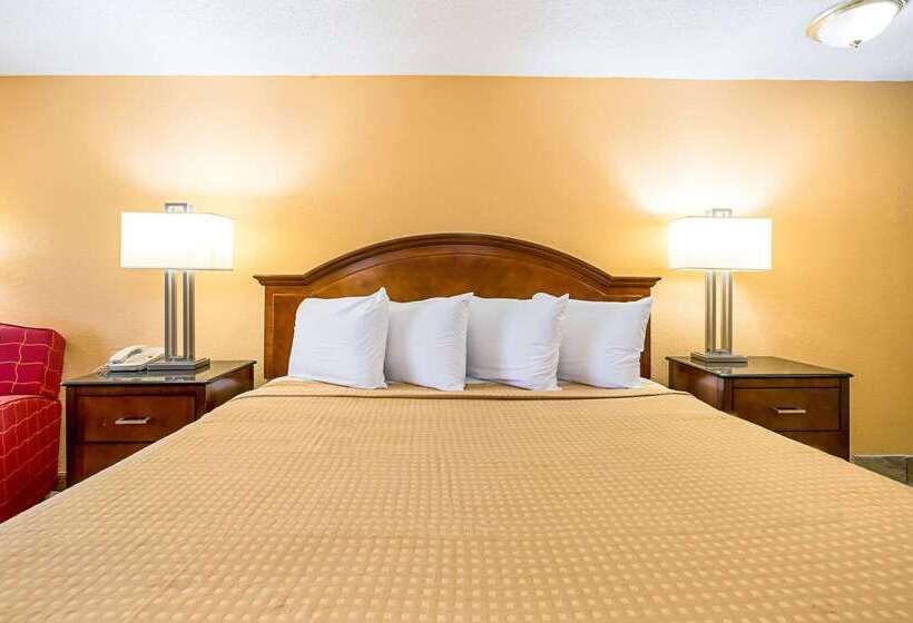 ホテル Rodeway Inn Metro Airport