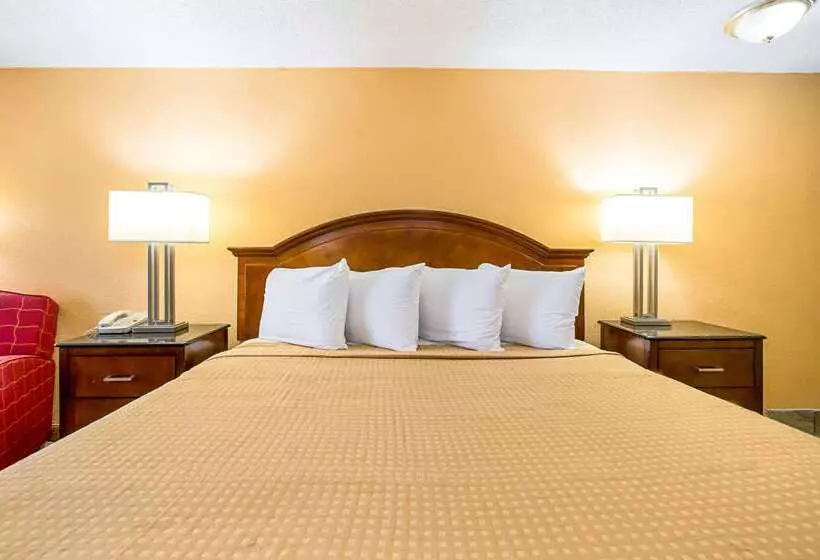 酒店 Rodeway Inn Metro Airport