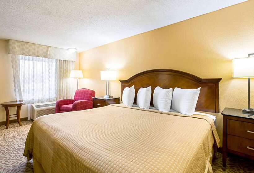 ホテル Rodeway Inn Metro Airport