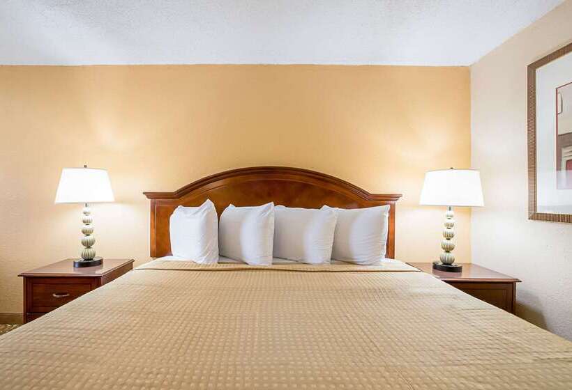 ホテル Rodeway Inn Metro Airport