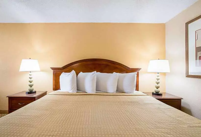 酒店 Rodeway Inn Metro Airport