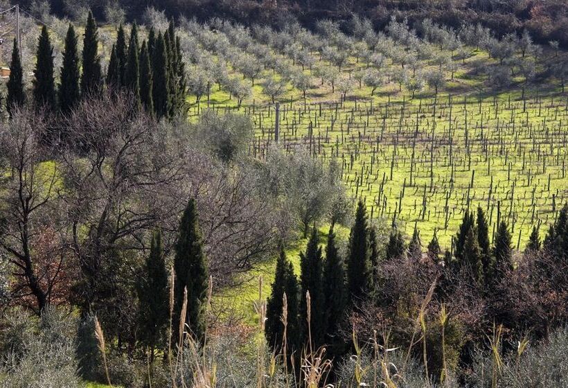 فندق Villa Giorgia Albergo In Collina