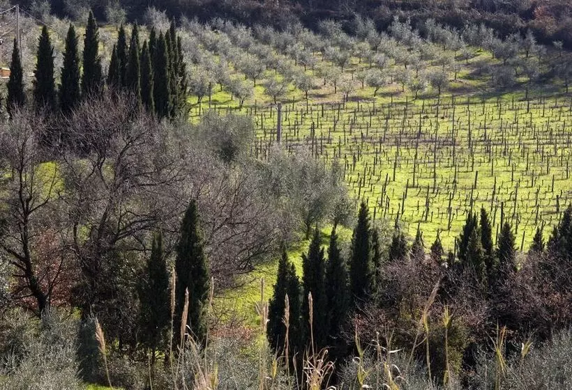 هتل Villa Giorgia Albergo In Collina