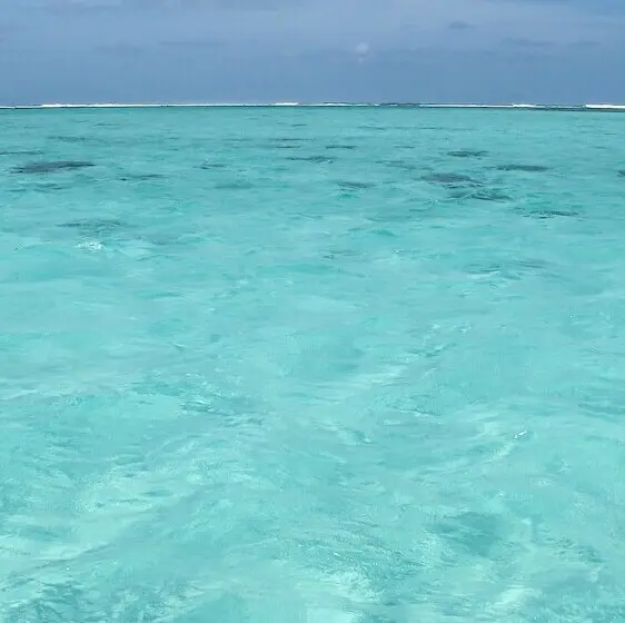 Lux Belle Mare Resort & Villas