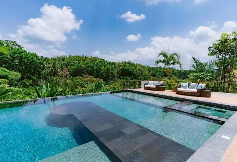 ホテル Damires Hills Farm And Spa Resort