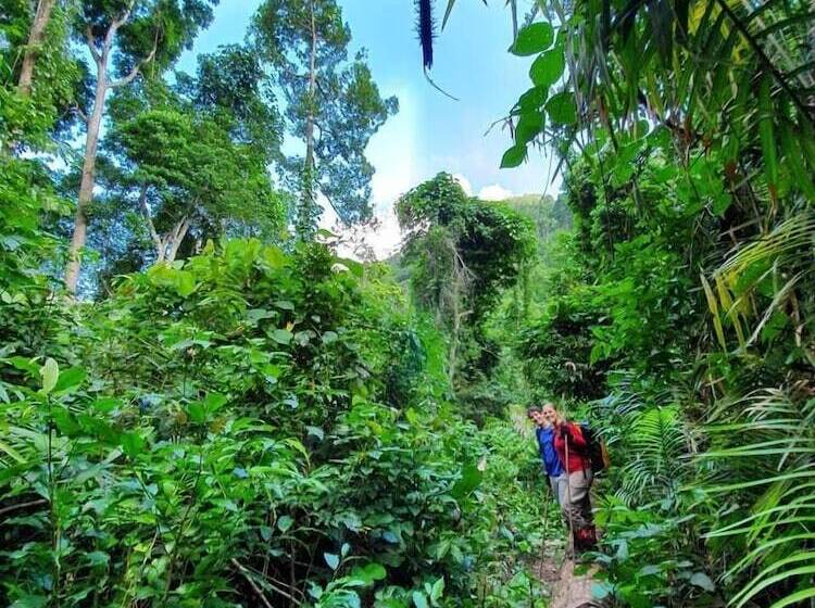 هتل Golden Forest Homestay