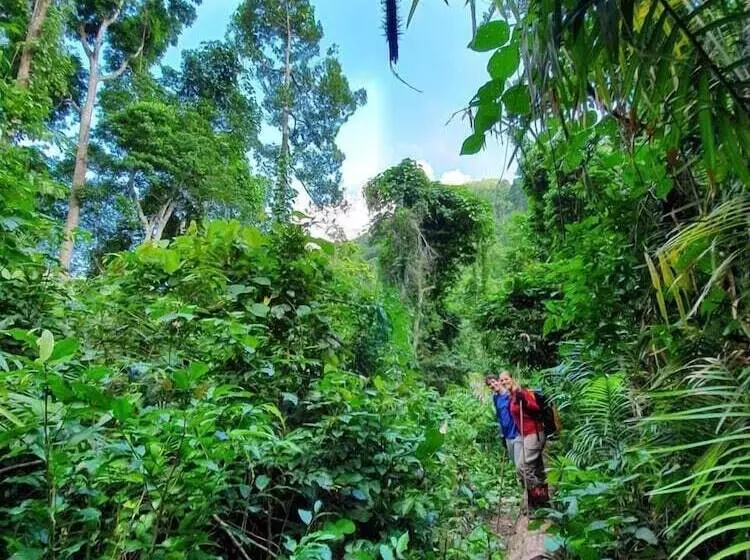 هتل Golden Forest Homestay