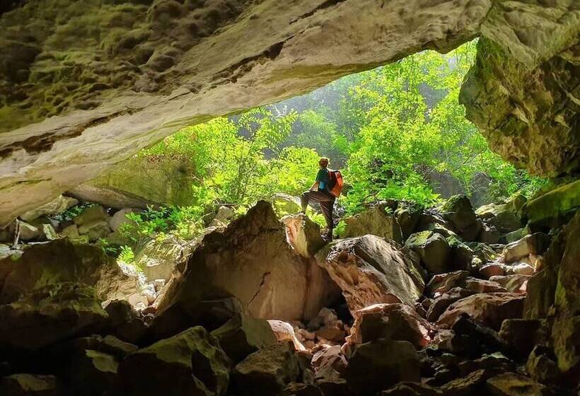 هتل Golden Forest Homestay