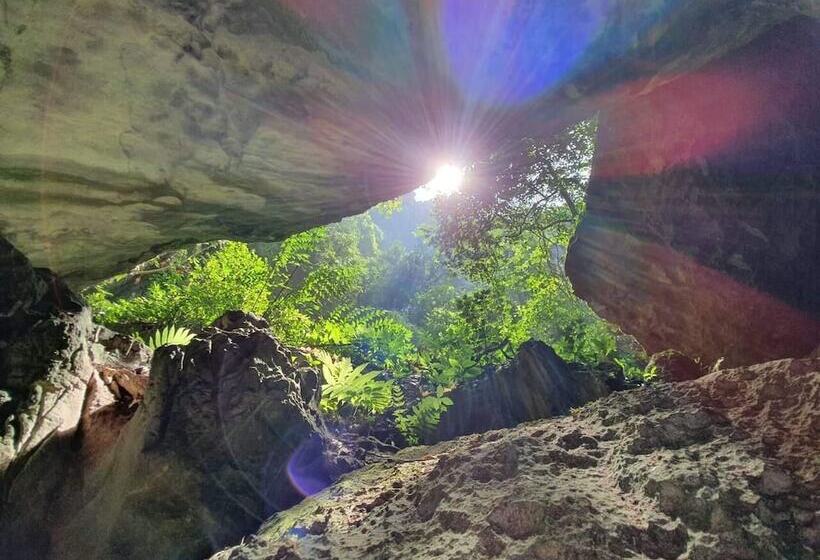 هتل Golden Forest Homestay