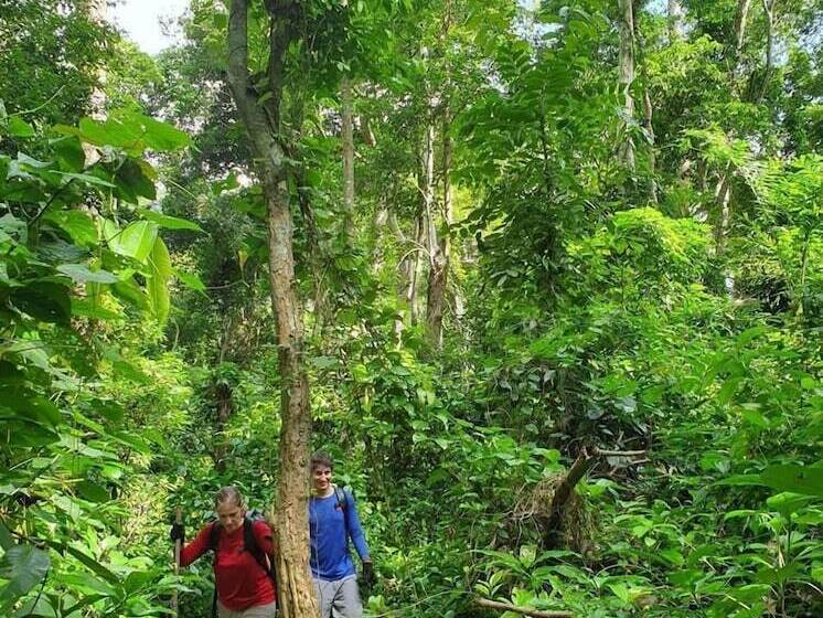 هتل Golden Forest Homestay