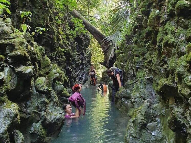 هتل Golden Forest Homestay