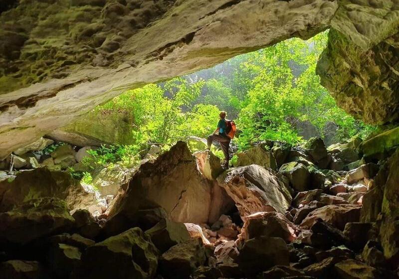 هتل Golden Forest Homestay