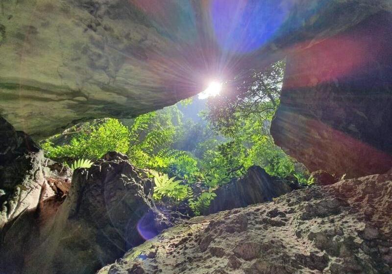 هتل Golden Forest Homestay