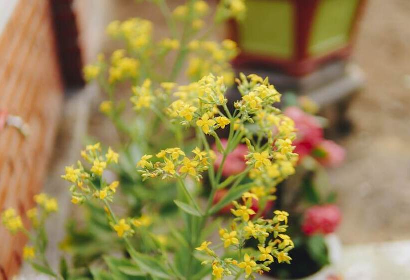 هتل Phong Nha Magic Fingers Homestay And Spa