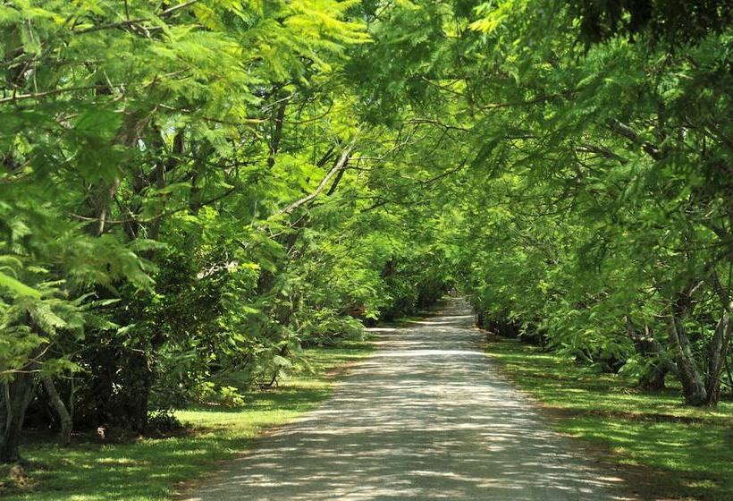 Отель Summerfield Luxury Resort & Botanical Garden