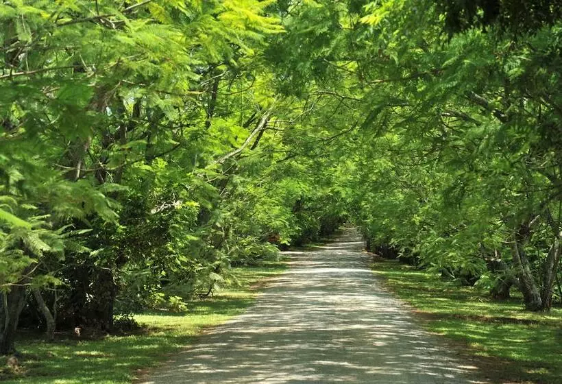 هتل Summerfield Luxury Resort & Botanical Garden
