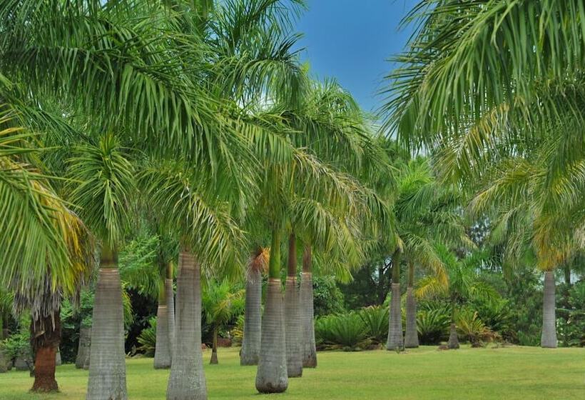 Отель Summerfield Luxury Resort & Botanical Garden