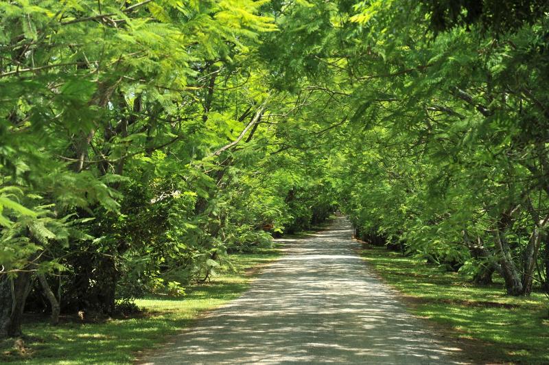 Отель Summerfield Luxury Resort & Botanical Garden